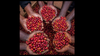 Uganda’s Rise: Lessons for Africa’s Coffee Future