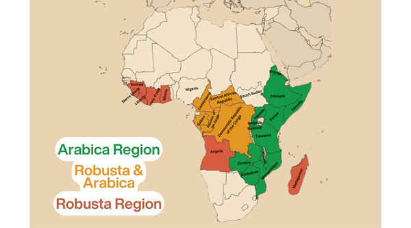 Africa Kept the World Caffeinated. Now What?