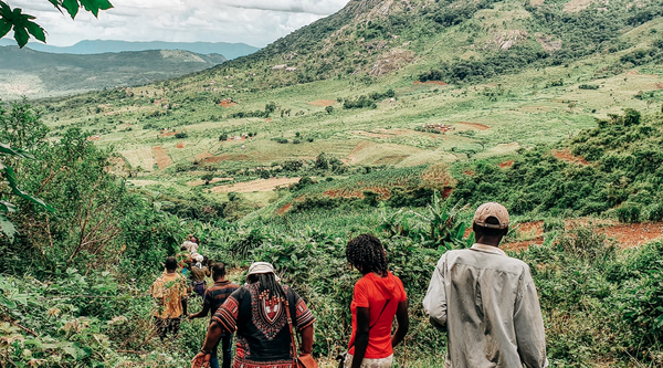The Mountain That Grows Coffee No One Knows About - Mozambique